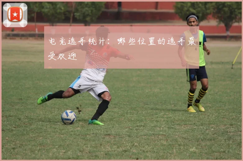 电竞选手统计：哪些位置的选手最受欢迎